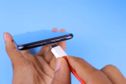 PlayLeon Casino Application mobile